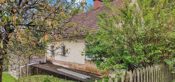 Sanierungshaus mit großem Grundstück und Wald. - Naturlage im Rosental.