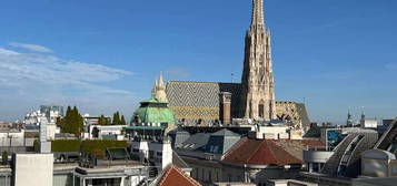 Moderne Dachgeschosswohnung (Maisonette) mit großer Dachterrasse und einzigartigem Ausblick auf den Stephansplatz