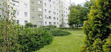 Helle Einraumwohnung, modern geschnitten