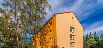 Byt 1+1, 29 m², Sevastopolská, Kladno