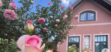 Der Duft einer Rose verweht im Wind - romantisches Häuschen mit Flair mitten in der Wachau