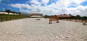 Quinta Equestre com 2,5h , totalmente preparada para a arte equestr...