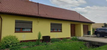 Dům, 771 m², Klobouky u Brna, 691 72