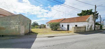 Moradia tradicional com adega, quinta com 1810m2, em Casais da Arei...