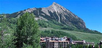 701 Gothic Rd #R335, Mount Crested Butte, CO 81225