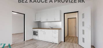 Pronájem bytu 1+1 47 m²