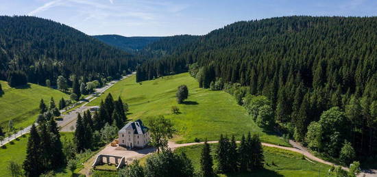 Schmuckstück! Gewerbe u/o Privat Alleinlage Haus im Erzgebirge