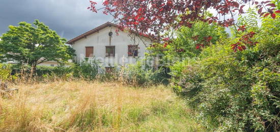 Maison individuelle avec rez-de-jardin et grand jardin - Cestas