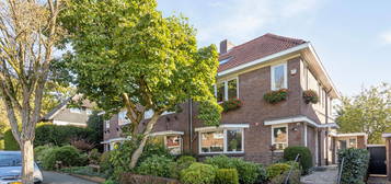 Paulus Potterstraat 12