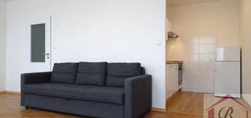 Pronájem bytu 1+kk 33 m²