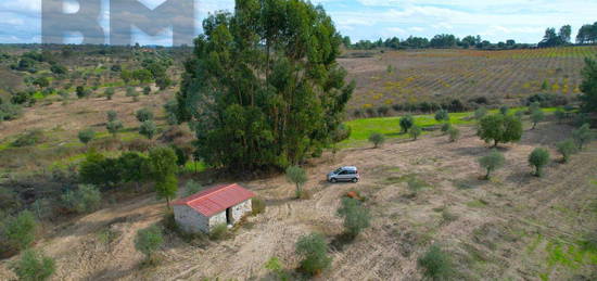 Quinta  Venda em São Miguel de Acha,Idanha-a-Nova