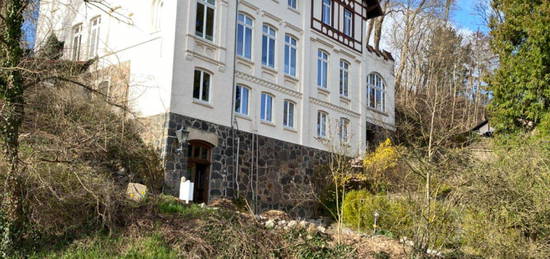 Boizenburg 1 Zi-Wohnung 32m2 220.- zzgl. Nk in historischer Villa