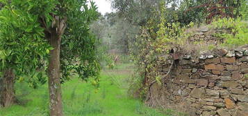 Quinta  para venda