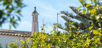 A Quinta dos seus sonhos está mesmo aqui em Porches  (moradia, jardim