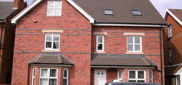 1 bed flat to rent