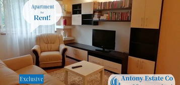 Apartament de închiriat, 3 camere, Rogerius -  Oradea