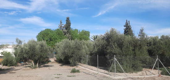 Cortijo en venta en camino Del Olivar