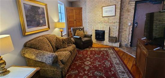 Newly Renovated Apartment In Historic Elliot Park, Minneapolis, MN 55404