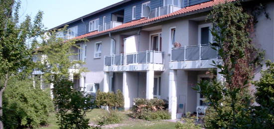 Wohnung/ Haus 3-ZimmerWhg DG