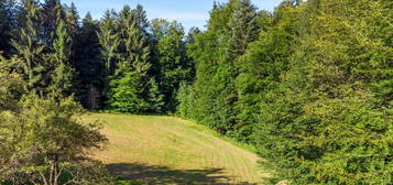 Ruhiges Domizil unweit von Graz - Grundstück mit Einfamilienhaus und Wald