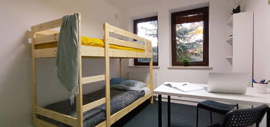 Find your place in the Dormitory Golden Lion