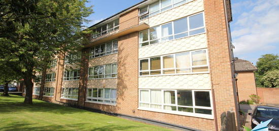 1 bed flat to rent