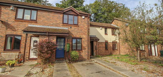 Terraced house to rent in Hunters Place, Spital Tongues, Newcastle Upon Tyne NE2