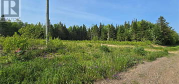 1207sm Rue Pascal, Canton Des Basques, New Brunswick 
