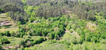 Quinta com moradia em pedra e terreno com 3 hectares em Celorico Basto