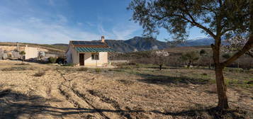 Finca rústica en venta en Polígono 16 Parcela 272 Gororon. Padul (granada), 16, Padul