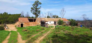 Quinta com 9,1400 ha a 21 Km da praia