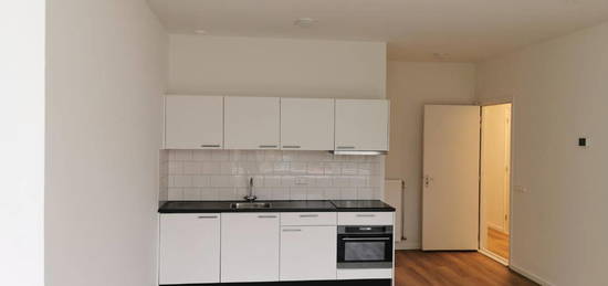 Recently renovated appartment at the Berweg