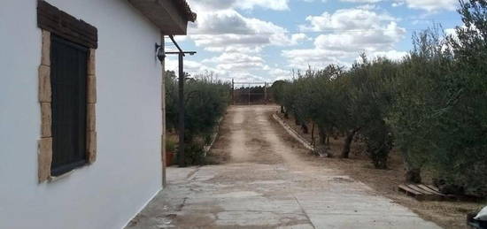 Finca rústica en venta en La Puebla del Rio