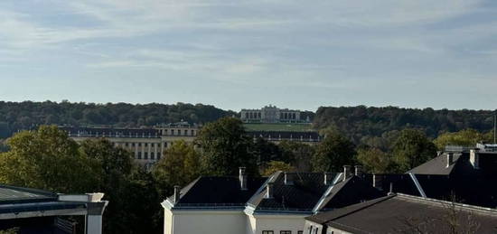 Wohnung mit traumhaftem Ausblick auf die Gloriette und exzellenter Anbindung