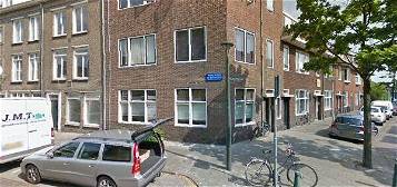 Willem van Hornestraat 30