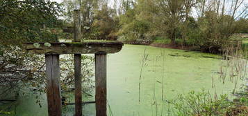 Propriété de 38ha en Sologne, idéal chasse / pêche / loisirs / évènementiel