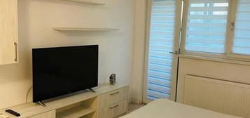 Apartament cu 1 camera in zona Tg. Cucu - Curtea de Apel