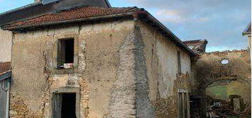 Maison 80m2 et 979 m2 de terrain ( ruine )