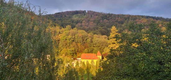 2 Zimmer Wohnung in sehr ruhiger, grüner Lage