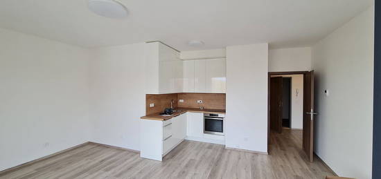 Pronájem bytu 2+kk 51 m² (Jednopodlažní)