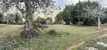 Casa rural en calle Del Canonge Llobera en Pollença, Pollença