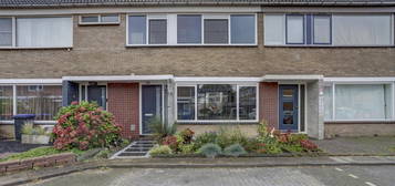 Irisstraat 14