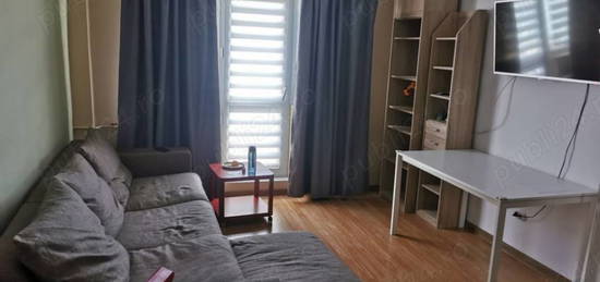 Apartament 3 Camere - Langa Parcul Colentinta - MOBILAT/UTIL