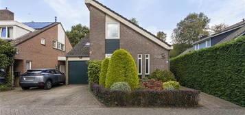 Hammerbeek 7