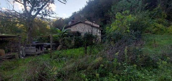 Proprietà rustica in vendita in via del Palagio in Colognole