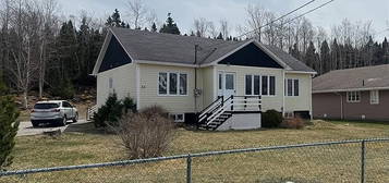 55 Pickett Avenue, Centreville, NL A0G4P0