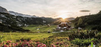 Berghütte/Alm in traumhafter Alleinlage mit Blick auf das atemberaubende Dachsteinmassiv