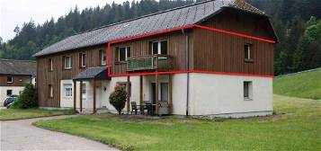 Drei baugleiche, helle geräumige Wohnungen im schön gelegenen Todtmoos/Schwarzwald