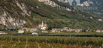 Trilocale in affitto a Magrè sulla Strada del Vino