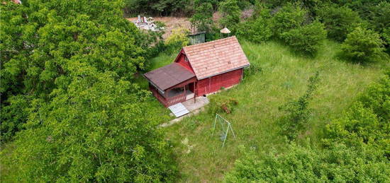 FILM! Loc de recreere in Aninoasa - Casa de Vacanta langa Reci, Covasn